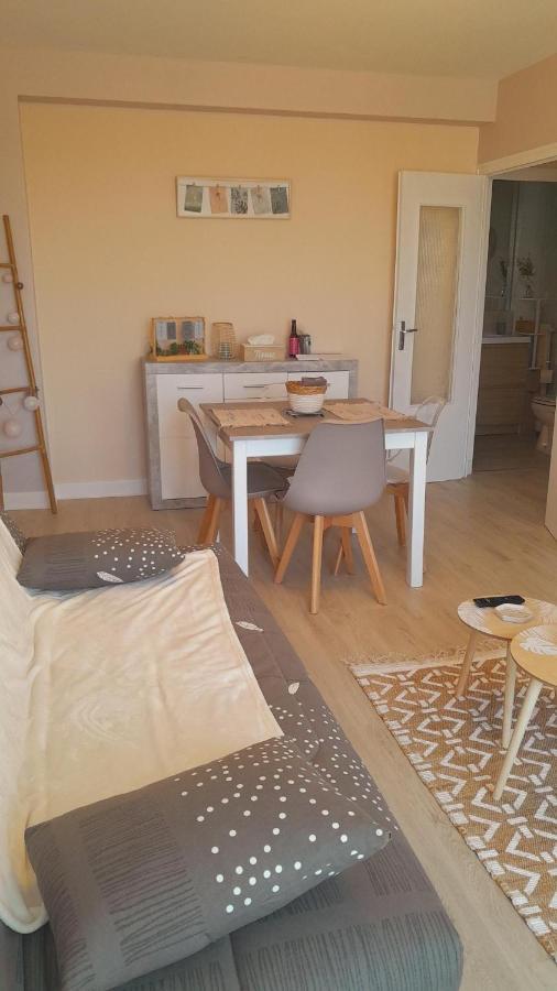 Chateauroux : Bel Appartement Avec Balcon المظهر الخارجي الصورة